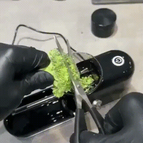 2PCS - Travel Pillow Love Bundle